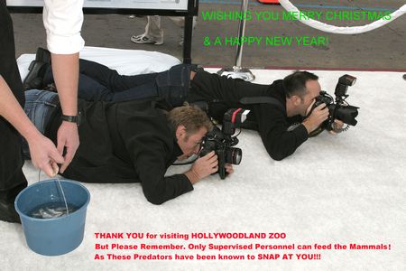 photo credit as Paul Fenton/Fentonphoto.com  photo credit as Paul Fenton/Fentonphoto.com