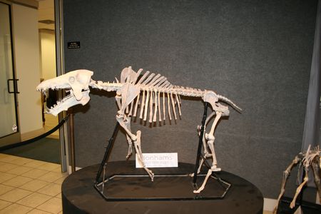 (C) MBN 2006 (C) MBN 2006