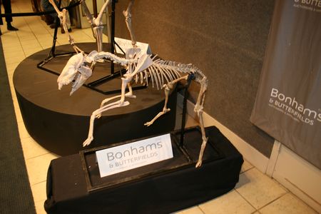 (C) MBN 2006 (C) MBN 2006