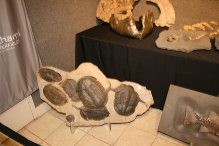 (C) MBN 2006 (C) MBN 2006