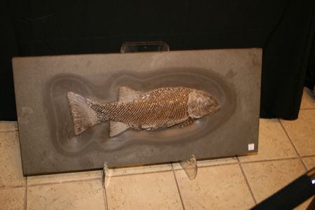 (C)MBN 2006 (C)MBN 2006