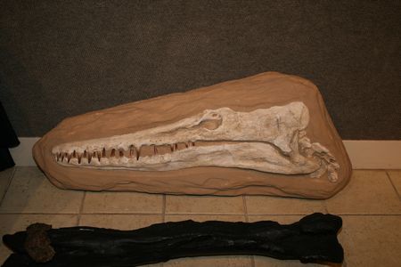 (C) MBN 2006 (C) MBN 2006