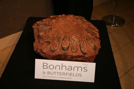 (C) MBN 2006 (C) MBN 2006