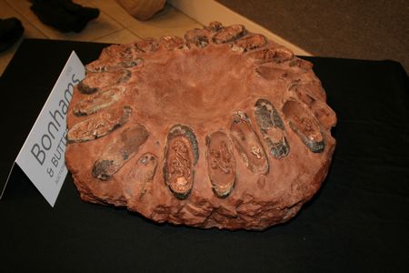 (C) MBN 2006 (C) MBN 2006