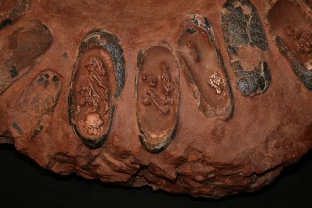 (C) MBN 2006 (C) MBN 2006