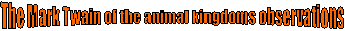 The Mark Twain of the animal kingdoms observations 
