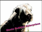 Monte Bubbles Enterprises